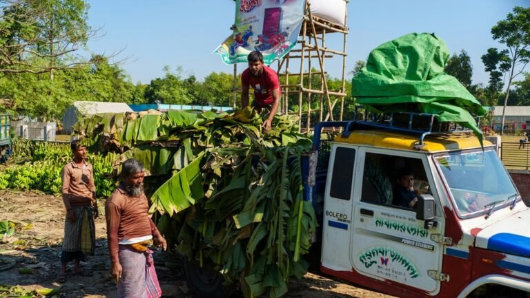 business growth data analysis