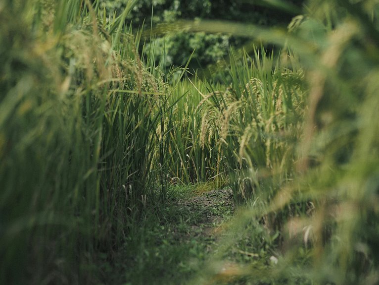 global growth and forecasts